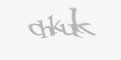 Güvenlik kodu