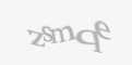 Güvenlik kodu