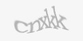 Güvenlik kodu