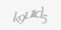 Güvenlik kodu