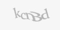 Güvenlik kodu