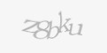Güvenlik kodu
