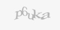 Güvenlik kodu