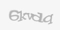 Güvenlik kodu